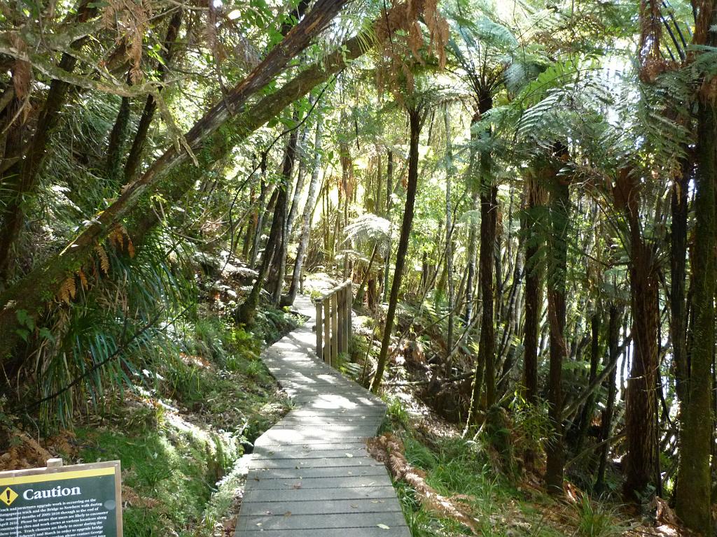 New_Zealand (187).JPG